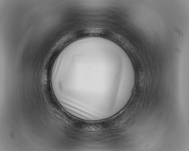 X0000111920731200908101221