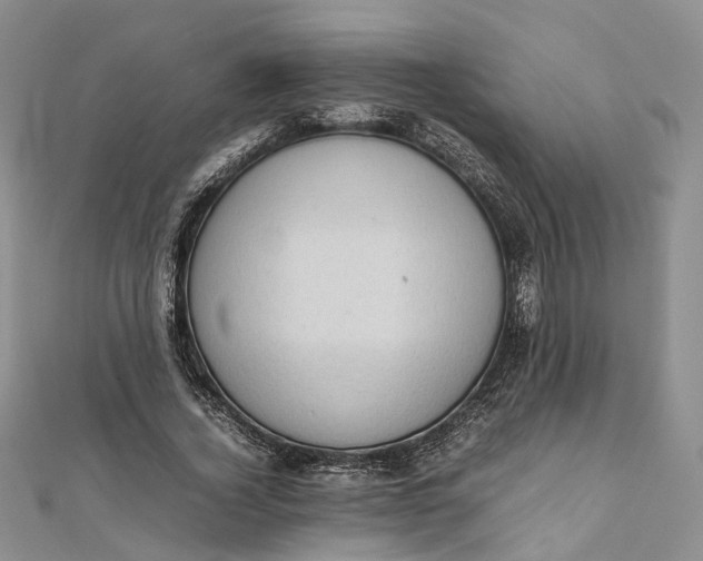 X0000111920732200908101221