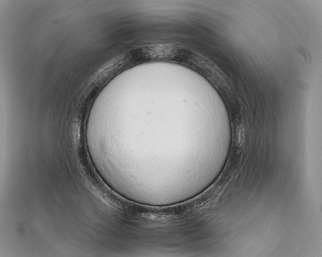 X0000111920733200908101221