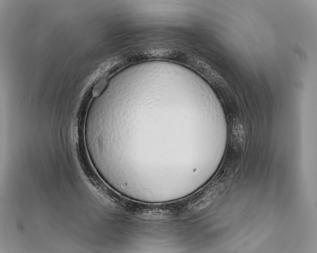 X0000111920734200908101221