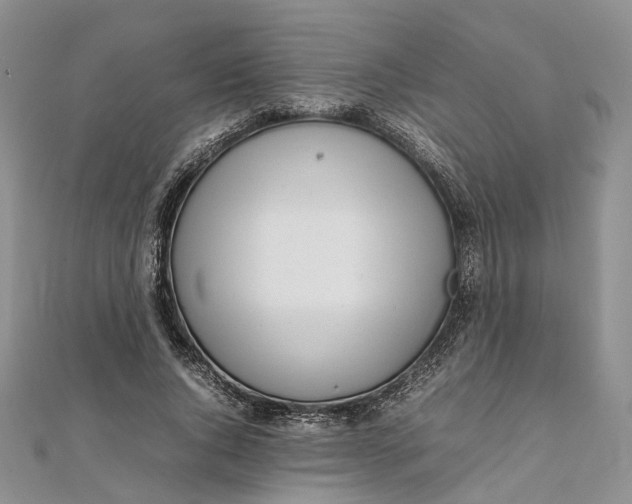 X0000111920736200908101221