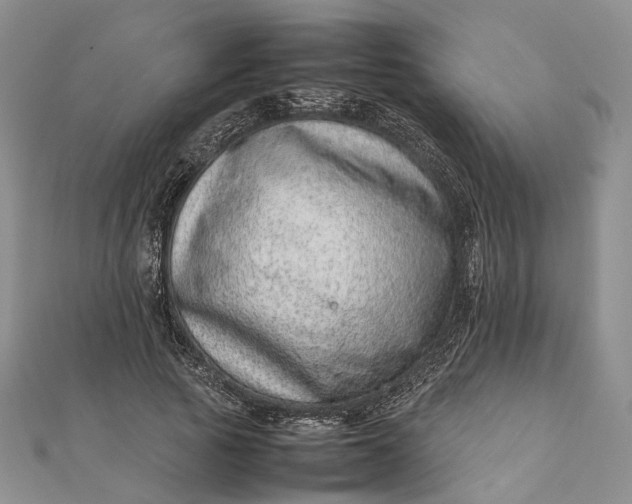 X0000111920737200908101221