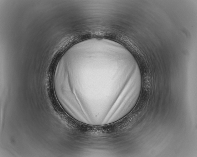 X0000111920738200908101221