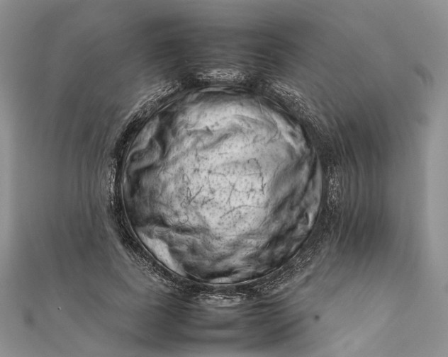 X0000111920739200908101221