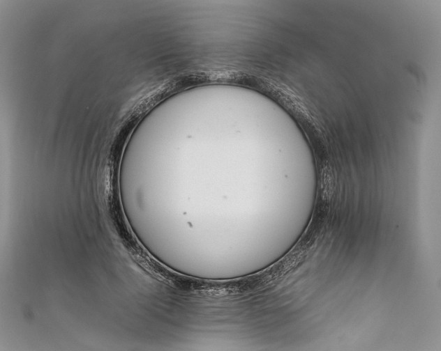 X0000111920740200908101221