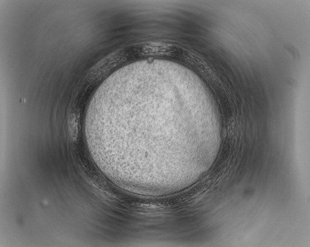 X0000111920741200908101221