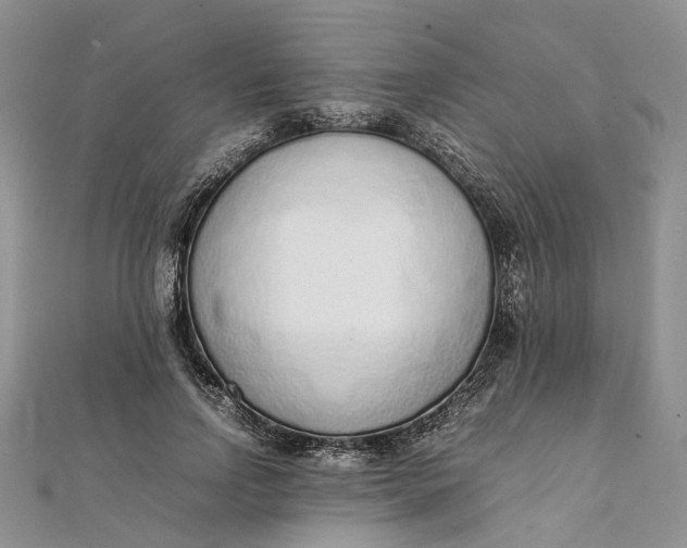 X0000111920742200908101221