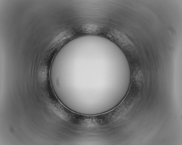 X0000111920744200908101221