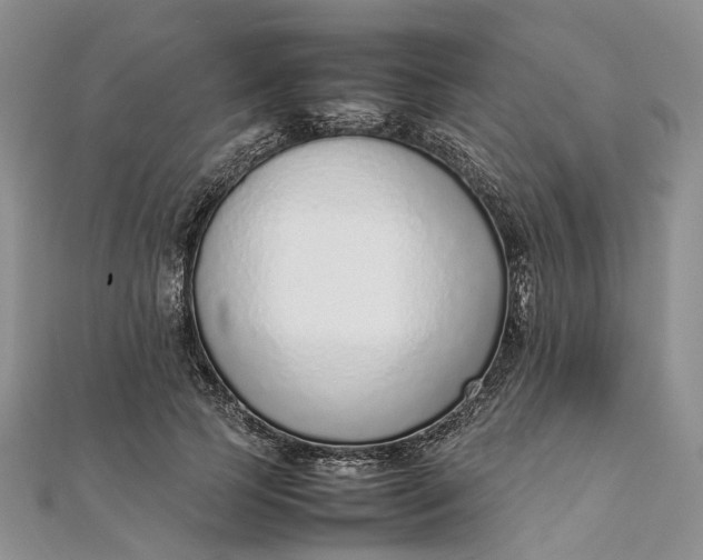 X0000111920745200908101221