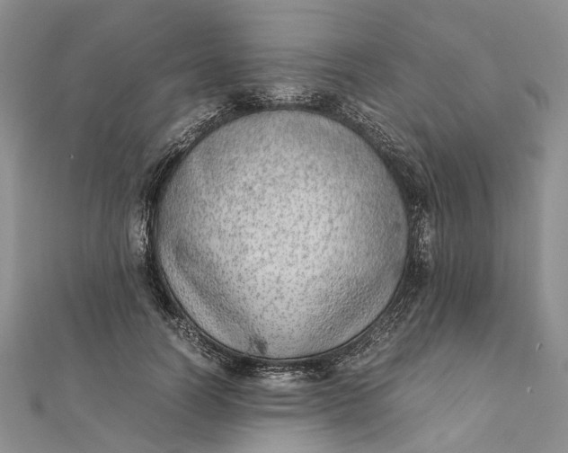 X0000111920746200908101221