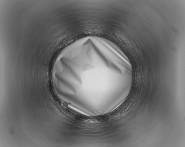 X0000111920749200908101221