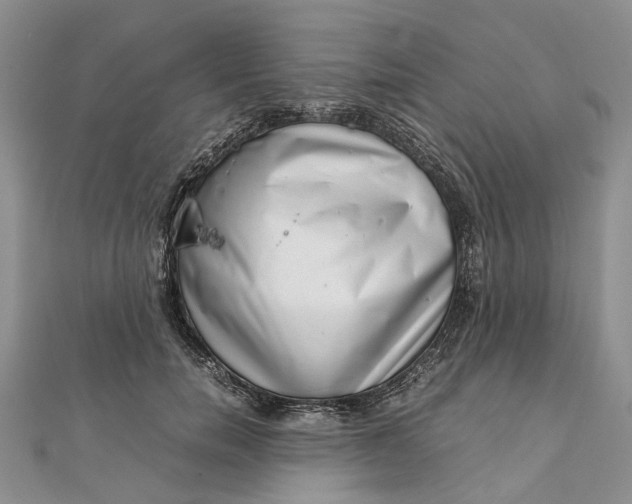 X0000111920750200908101221