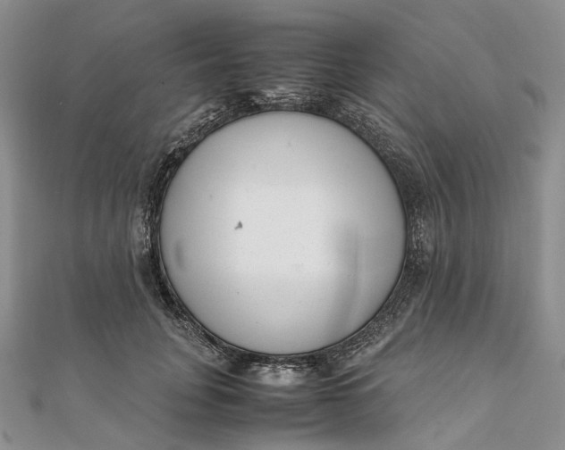 X0000111920751200908101221