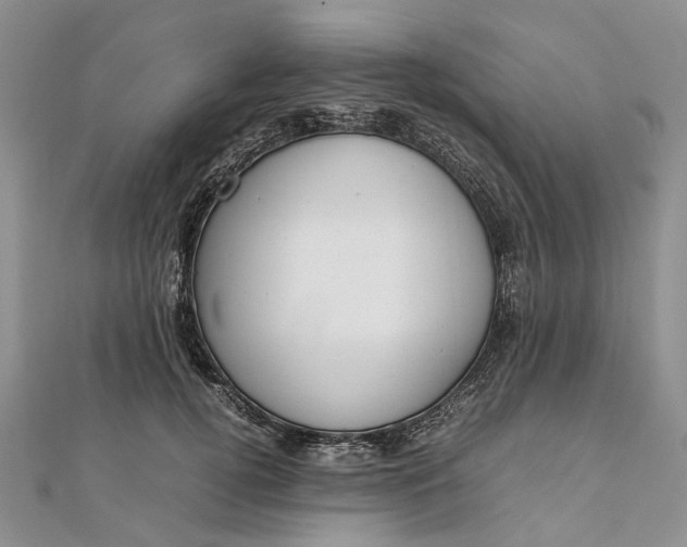 X0000111920752200908101221