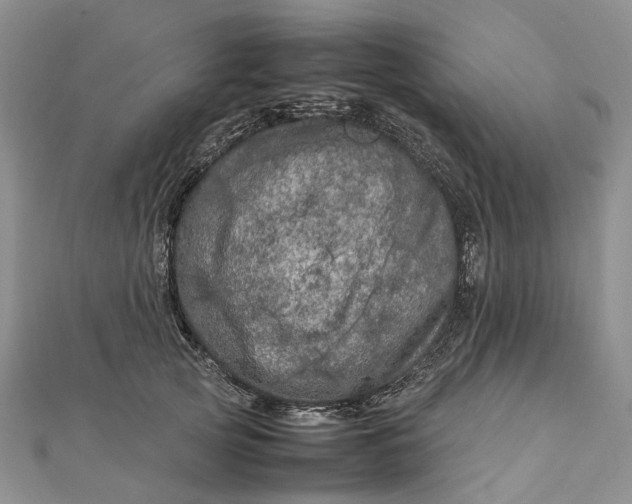 X0000111920753200908101221