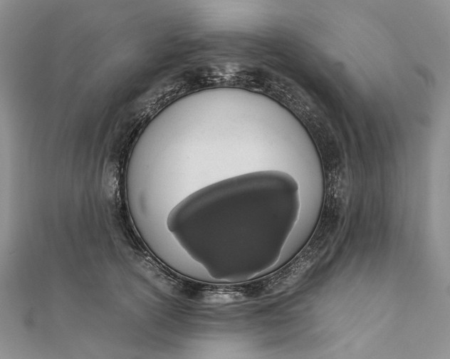 X0000111920754200908101221