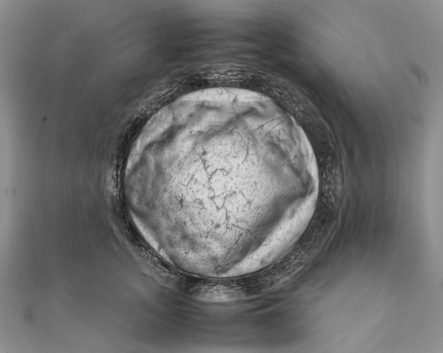 X0000111920755200908101221