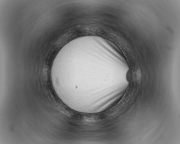 X0000111920757200908101221