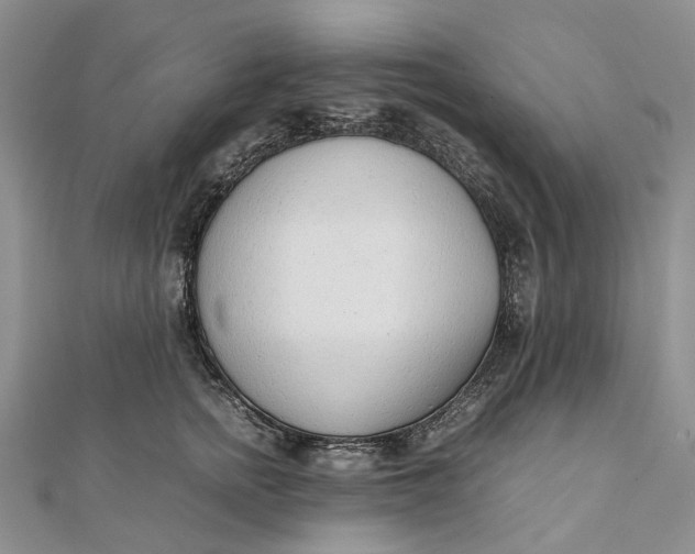 X0000111920758200908101221