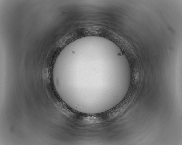 X0000111920759200908101221