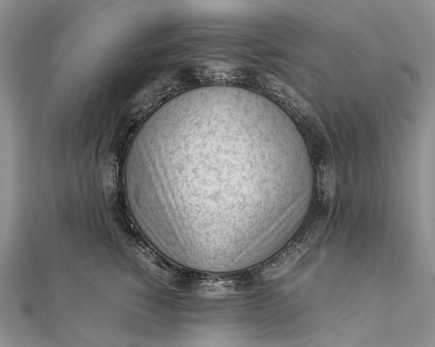 X0000111920760200908101221