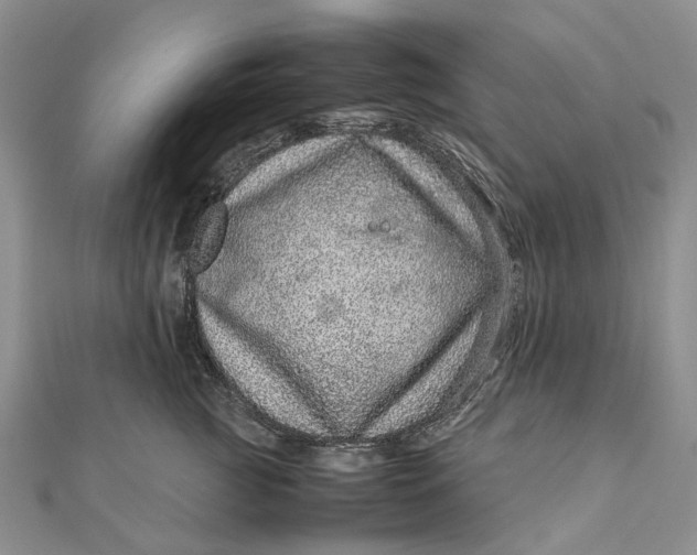 X0000111920761200908101221