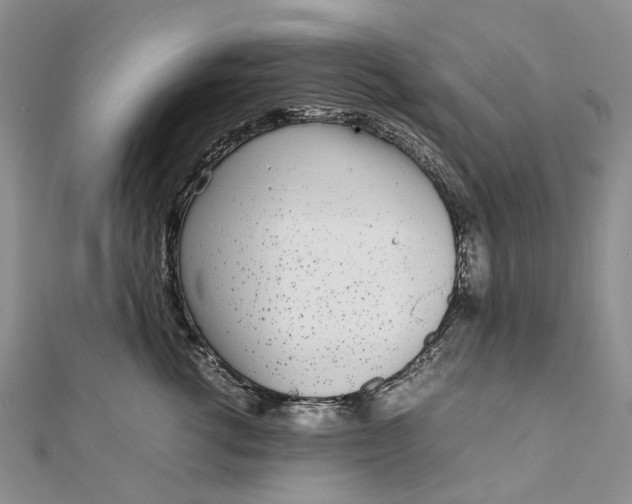 X0000111920762200908101221