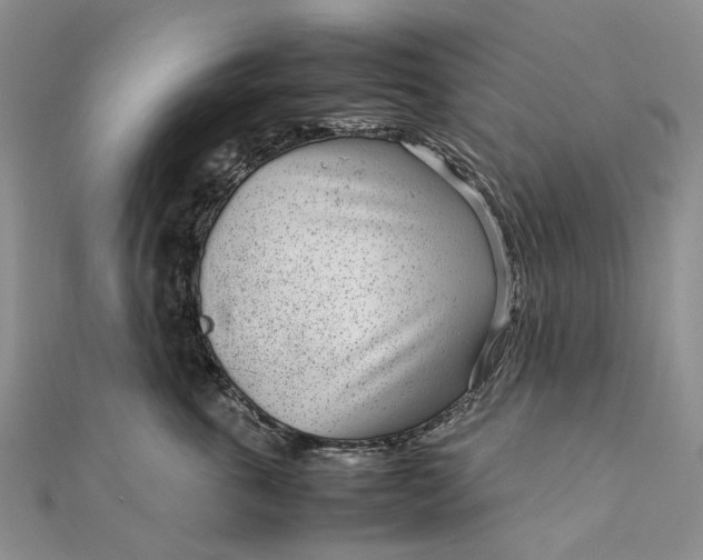 X0000111920763200908101221