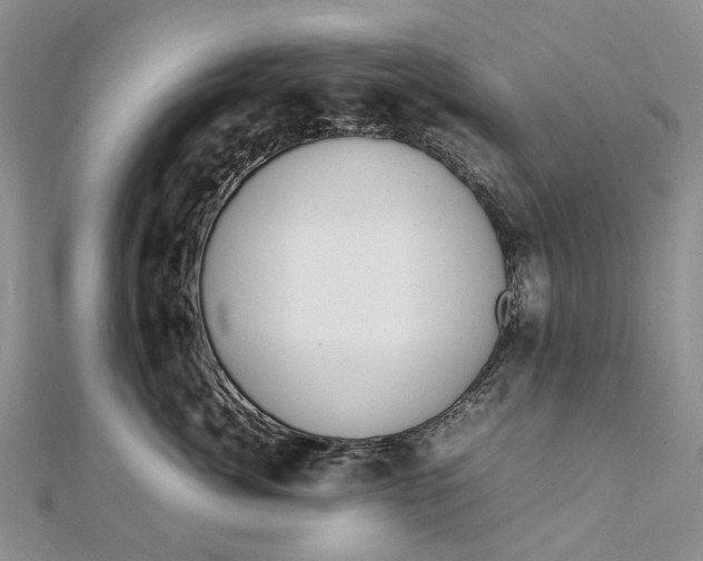 X0000111920764200908101221