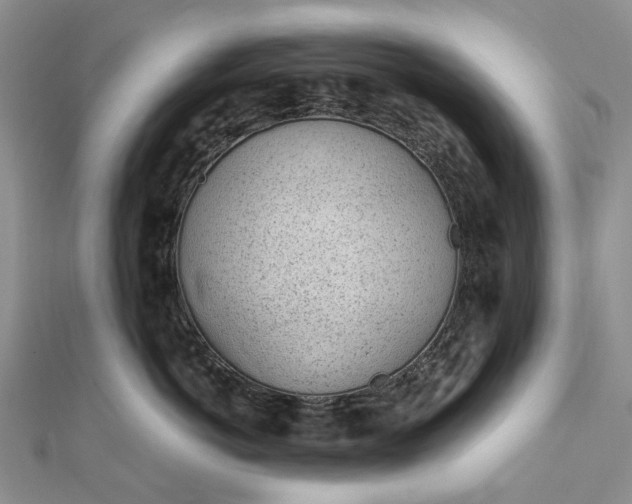 X0000111920766200908101221