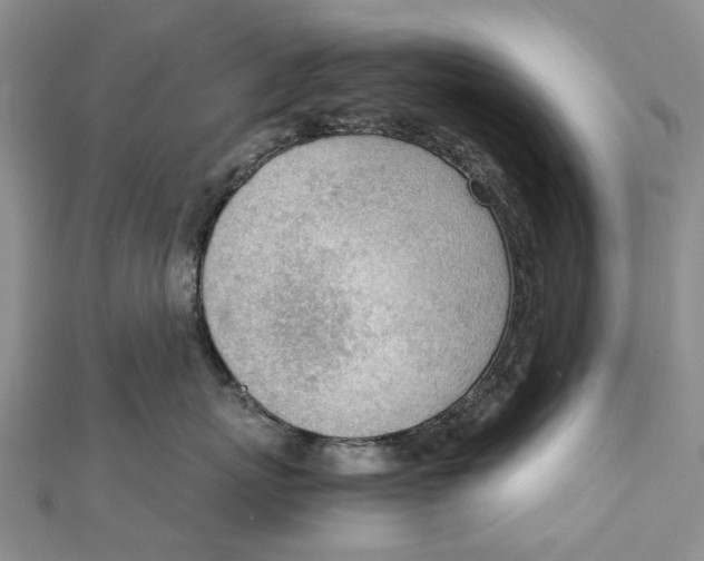 X0000111920767200908101221