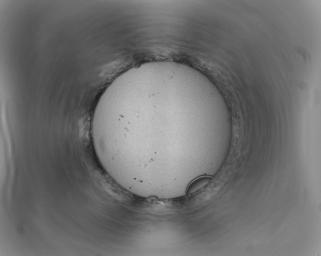 X0000111920768200908101221