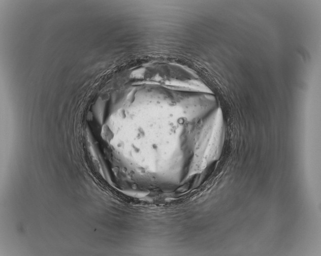 X0000111920769200908101220