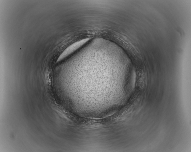 X0000111920770200908101220