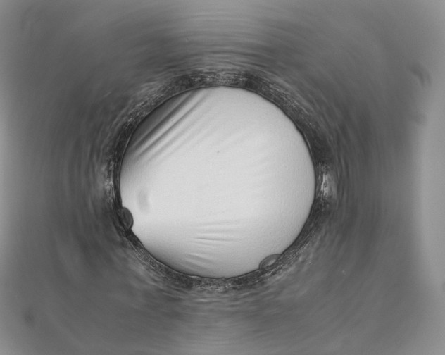 X0000111920771200908101220