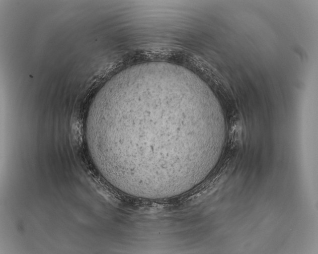 X0000111920772200908101220