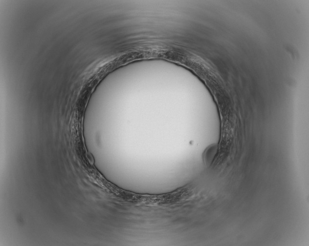 X0000111920773200908101220