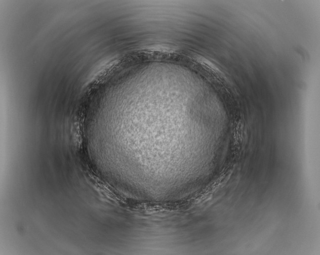 X0000111920774200908101220