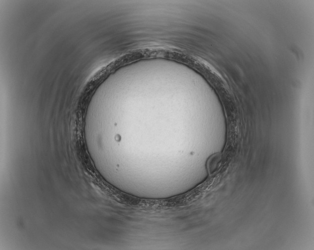 X0000111920775200908101220