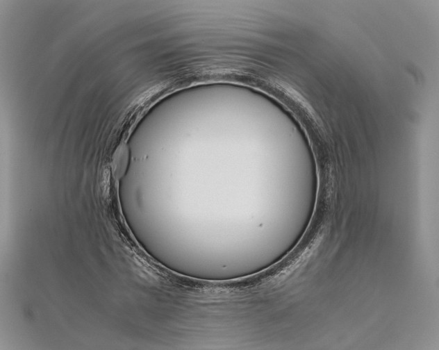 X0000111920777200908101220