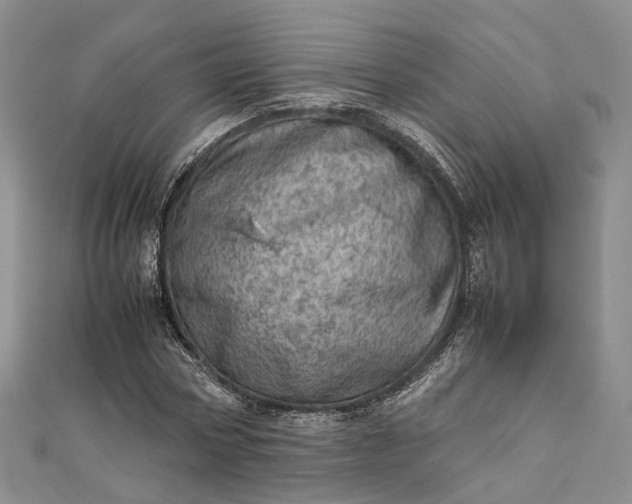 X0000111920778200908101220