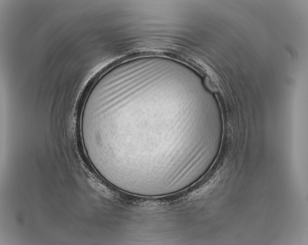 X0000111920779200908101220