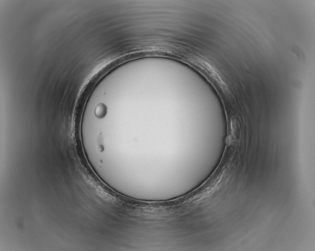 X0000111920780200908101220