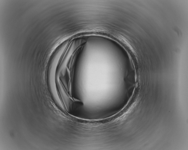 X0000111920781200908101220