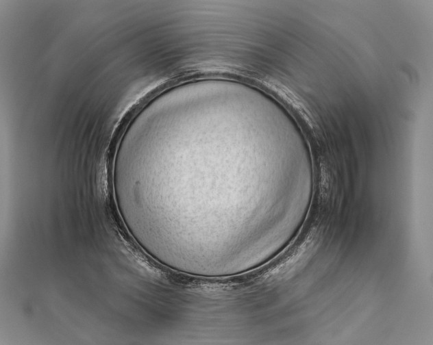 X0000111920782200908101220