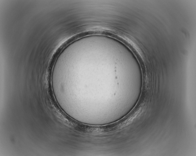 X0000111920783200908101220