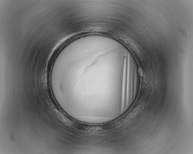 X0000111920784200908101220