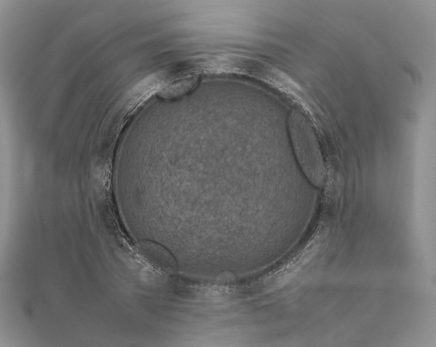 X0000111920785200908101220