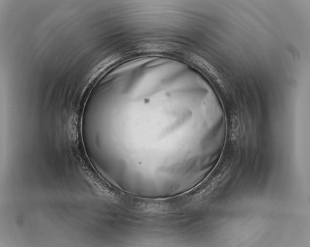 X0000111920786200908101220