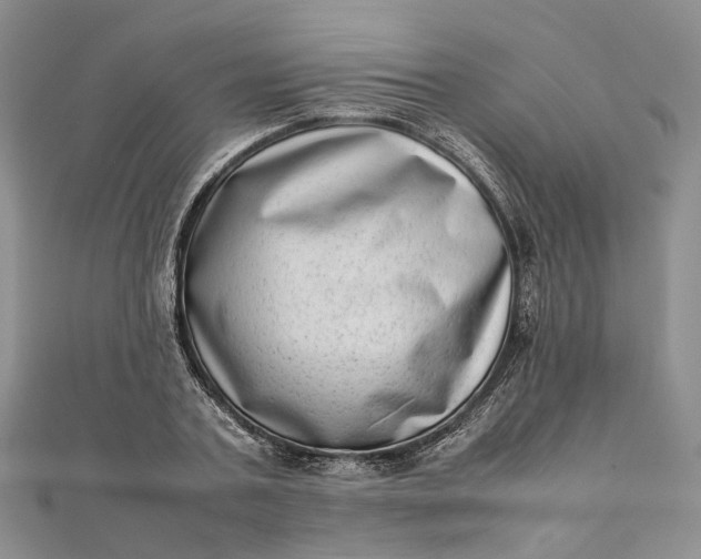 X0000111920787200908101220